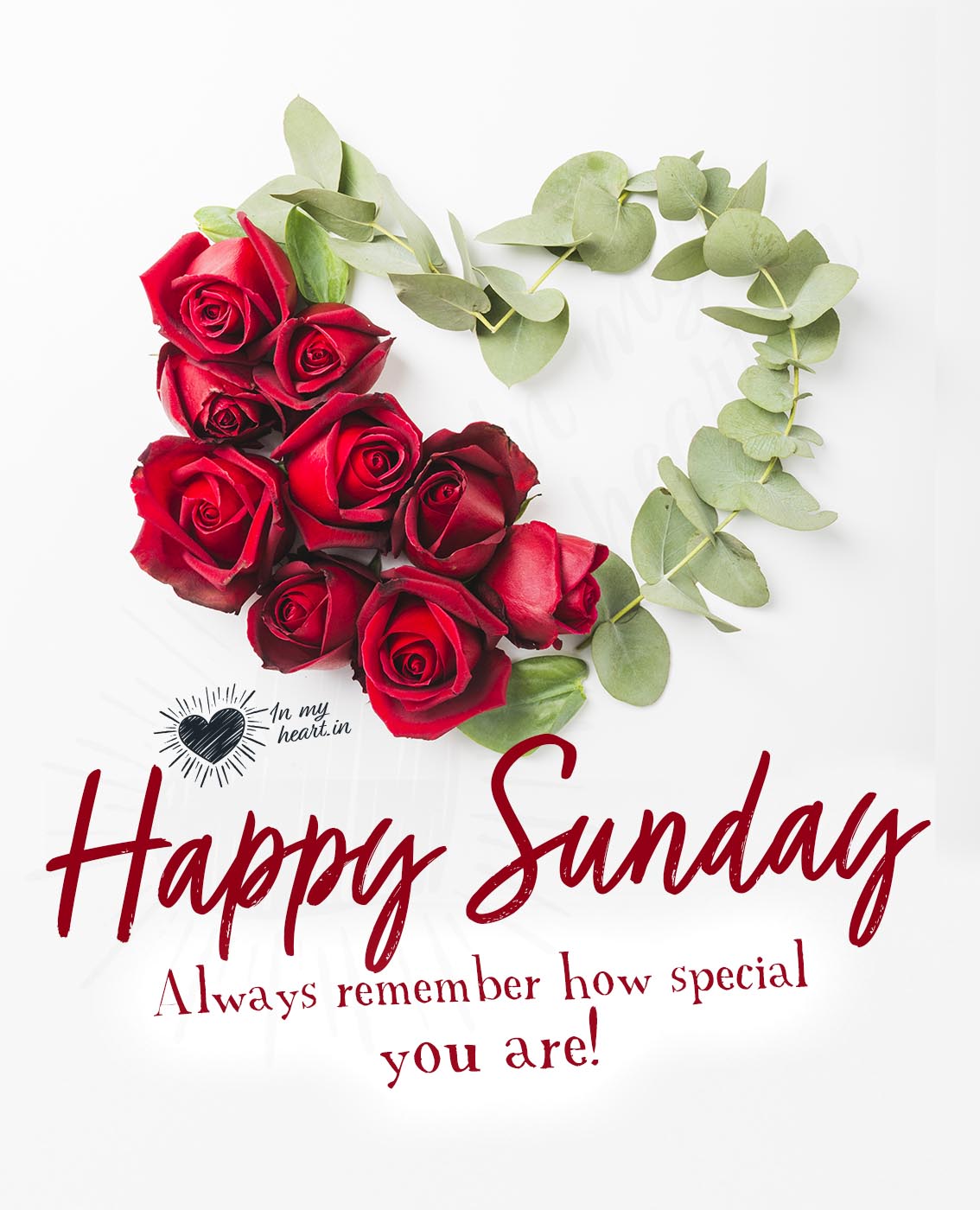 Happy sunday! Always remember how special you are! Happy sunday! Always remember how special you are!