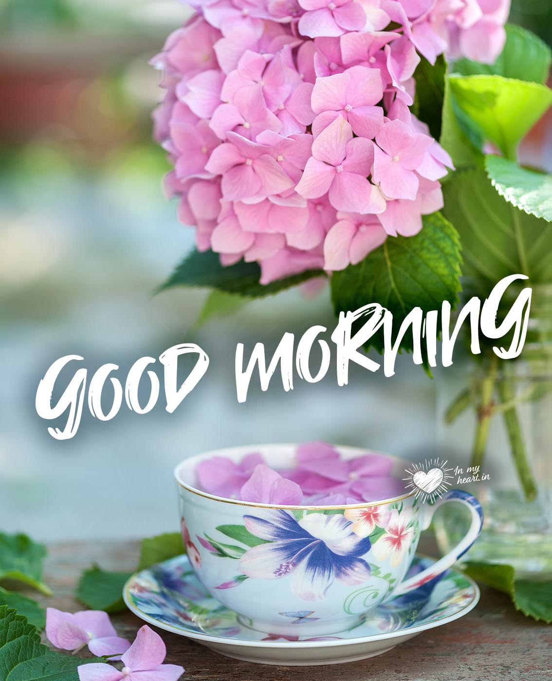 Good morning images (a cup of tea full of petals) Good morning images (a cup of tea full of petals)