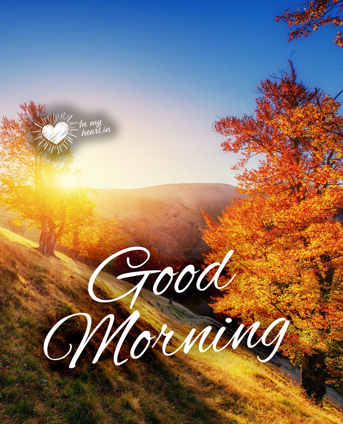 Good Morning (autumn image) Good Morning (autumn image)