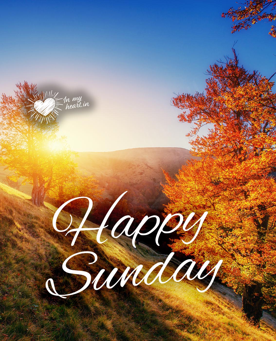 Happy Sunday (autumn image) Happy Sunday (autumn image)