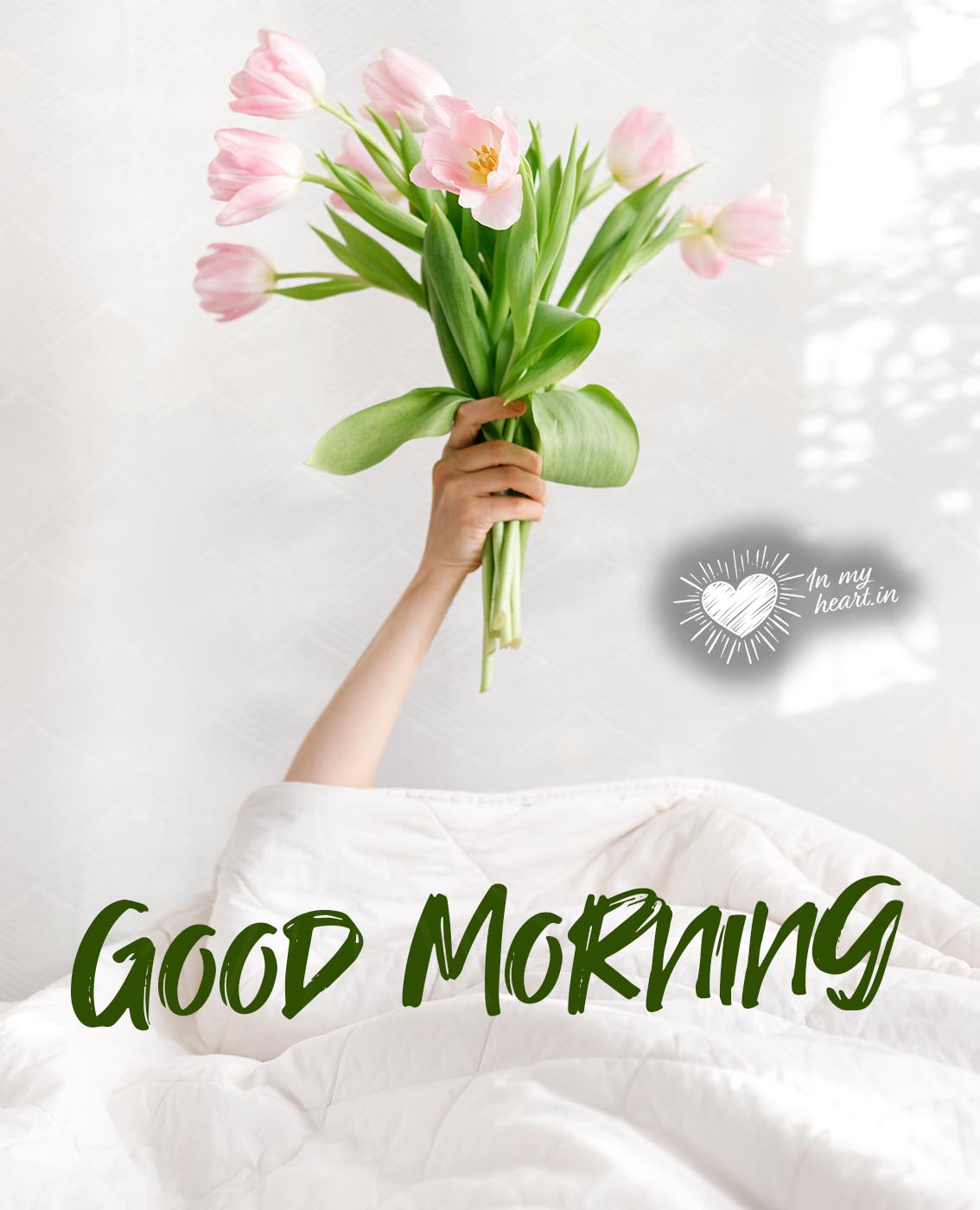 Good morning with pink tulips in a hand Good morning with pink tulips in a hand