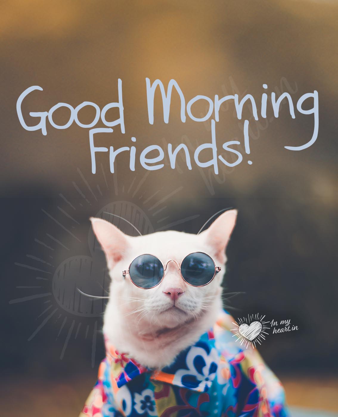 Special good morning image with cat to share with your friends Special good morning image with cat to share with your friends