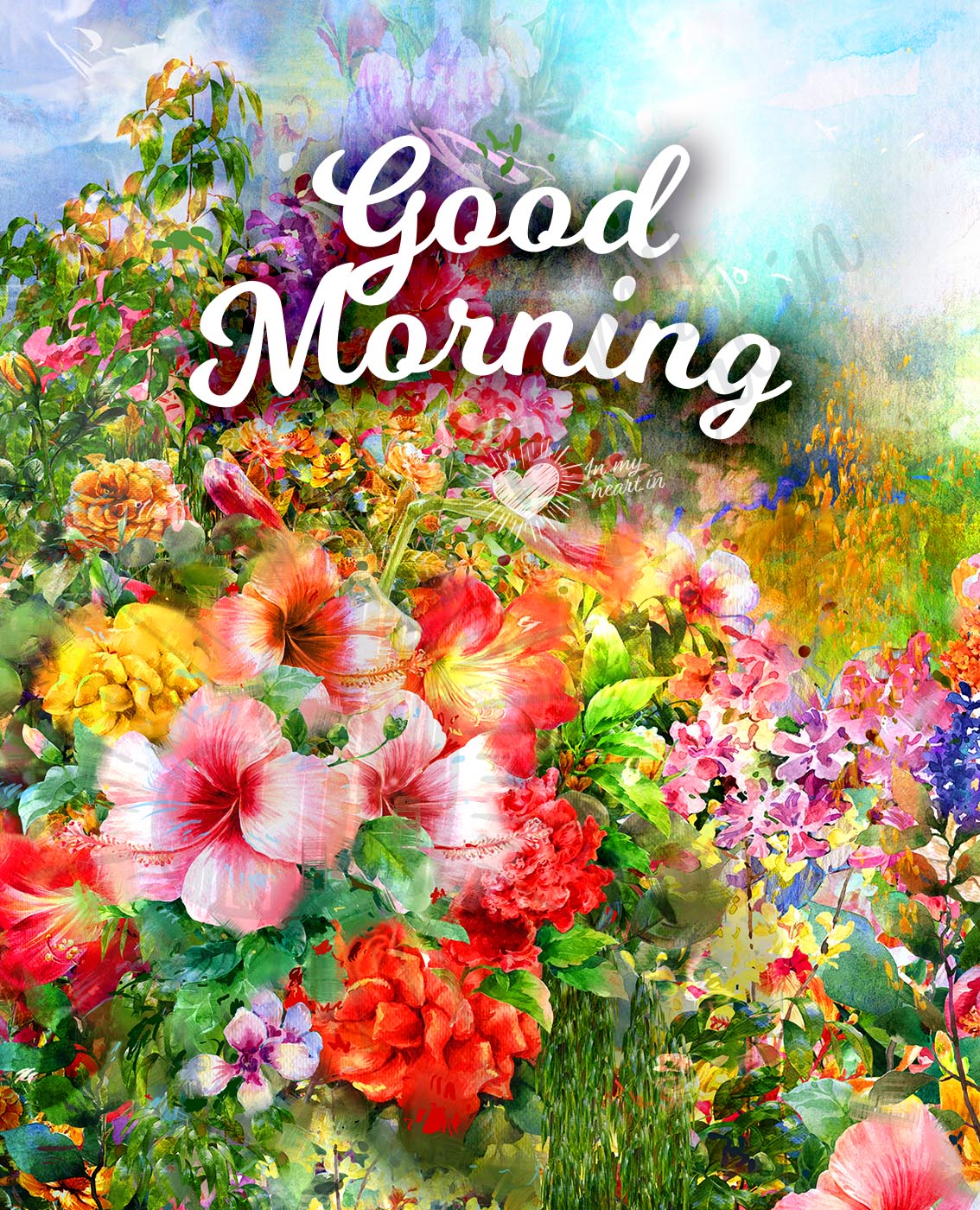 Good morning image with flowers Good morning image with flowers
