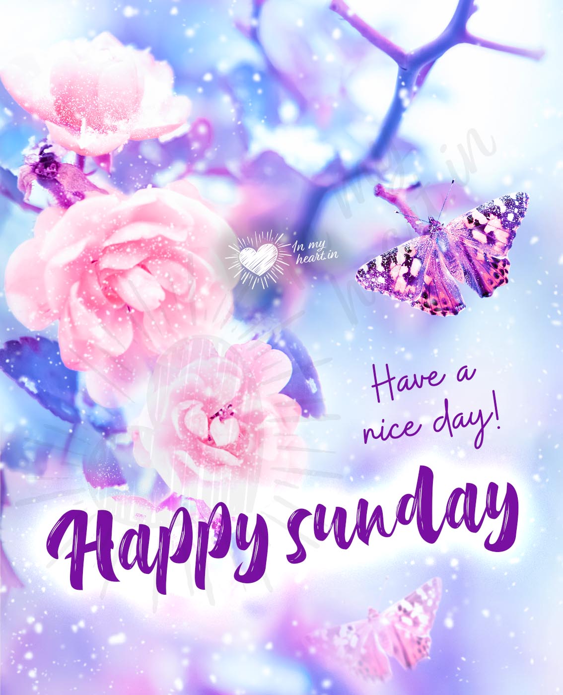 Have a nice day. Happy sunday image with flowers and butterfly Have a nice day. Happy sunday image with flowers and butterfly