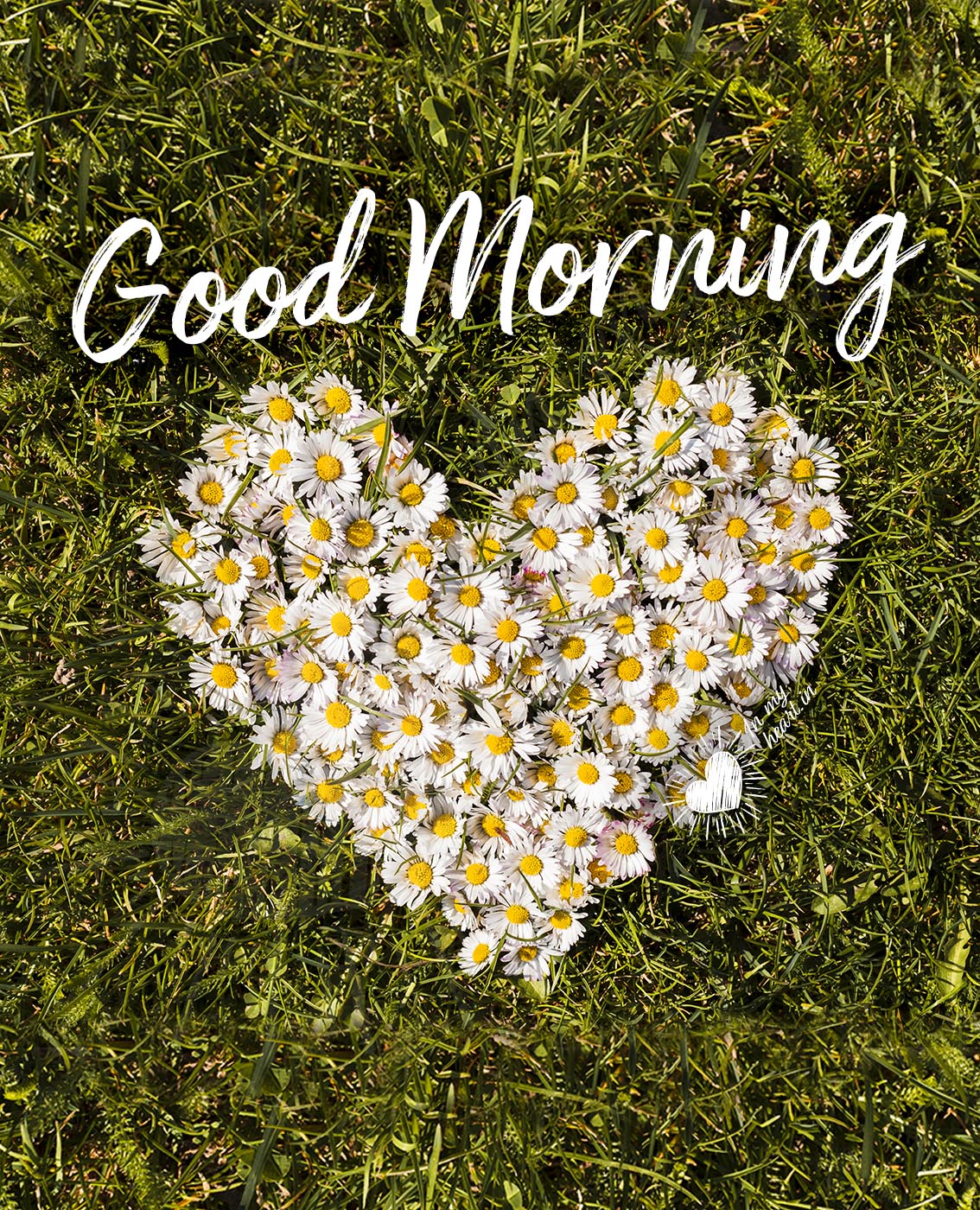 Good morning. Image with heart made of flowers Good morning. Image with heart made of flowers