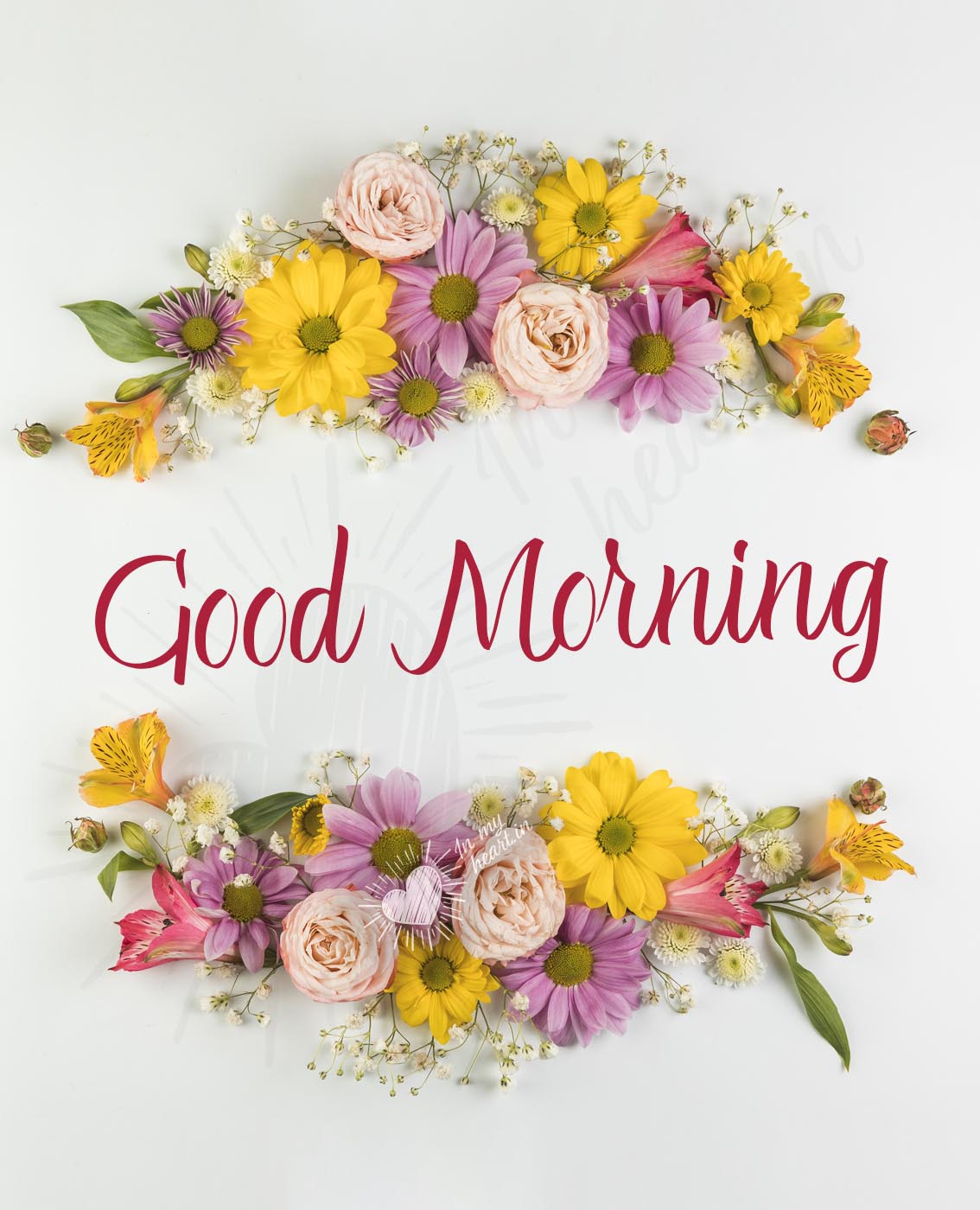 Good Morning picture with flowers Good Morning picture with flowers