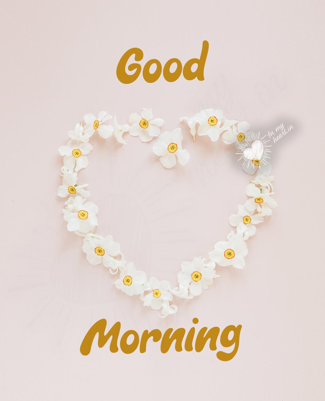 Good Morning message, with white flowers are arranged in the shape of a heart Good Morning message, with white flowers are arranged in the shape of a heart